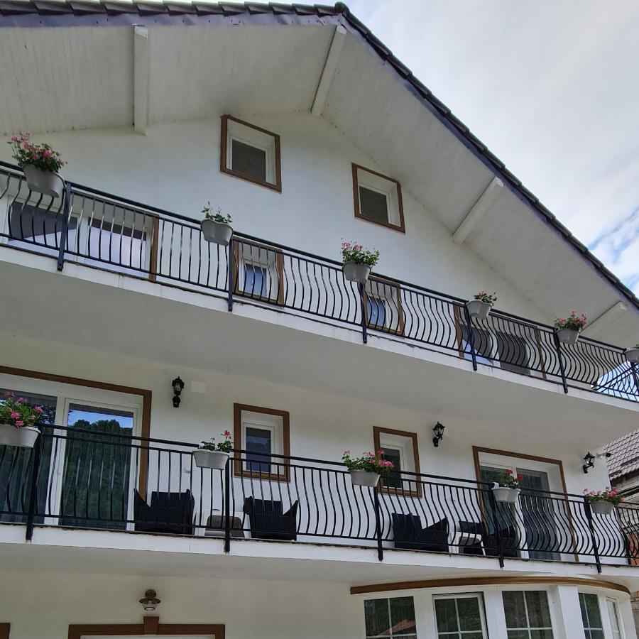 Отель Casa Anne Бэиле-Еркулане Экстерьер фото